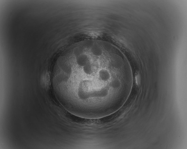 X0000089671347200706281332