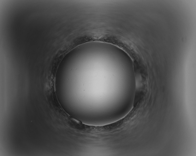 X0000089671349200706281332