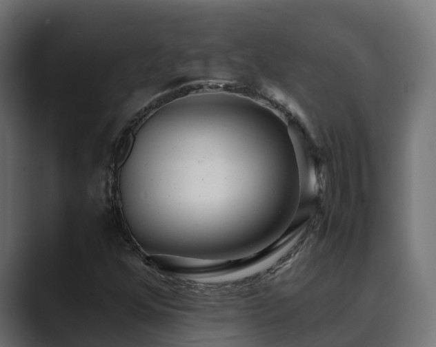 X0000089671352200706281332