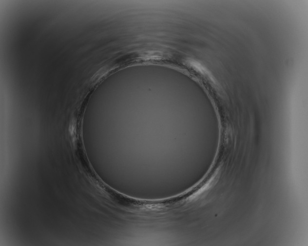 X0000089671353200706281332