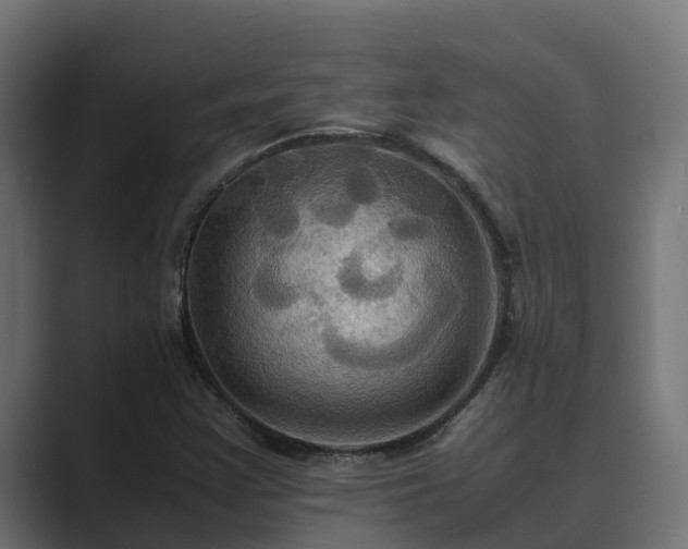 X0000089671355200706281332