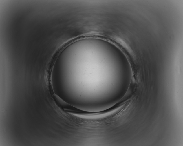 X0000089671356200706281332