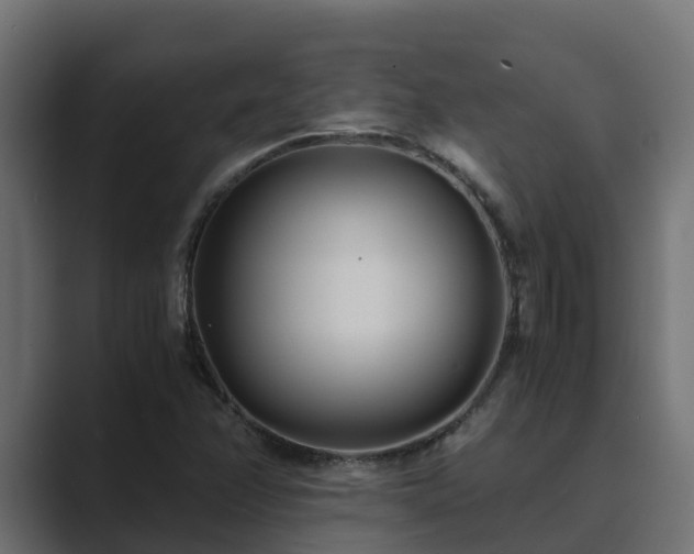 X0000089671358200706281332