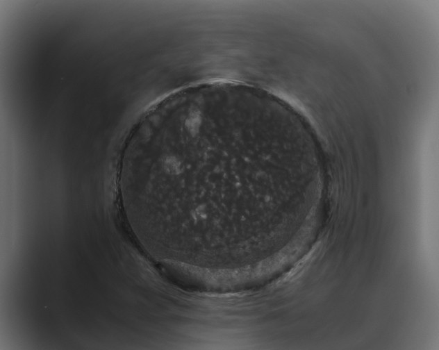 X0000089671359200706281332