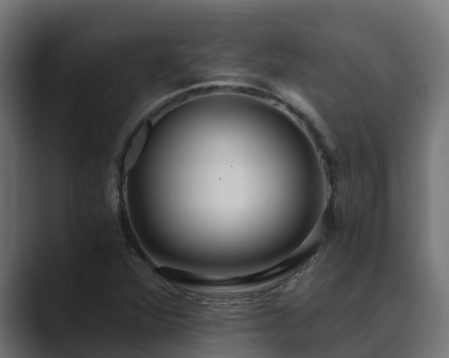 X0000089671360200706281332