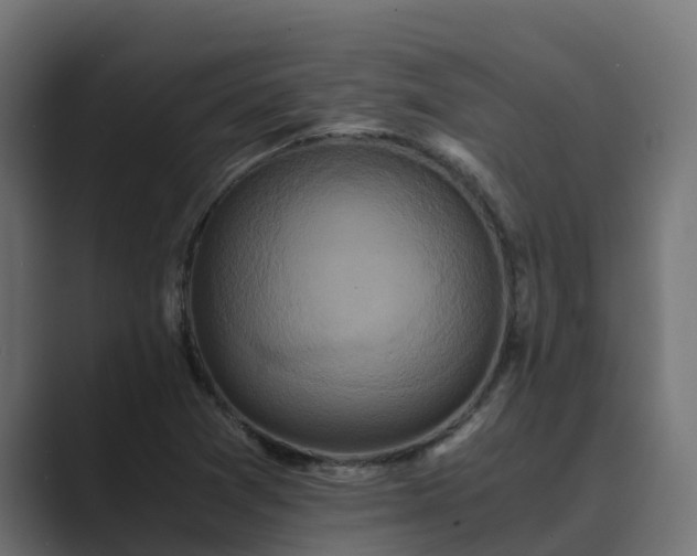 X0000089671361200706281332