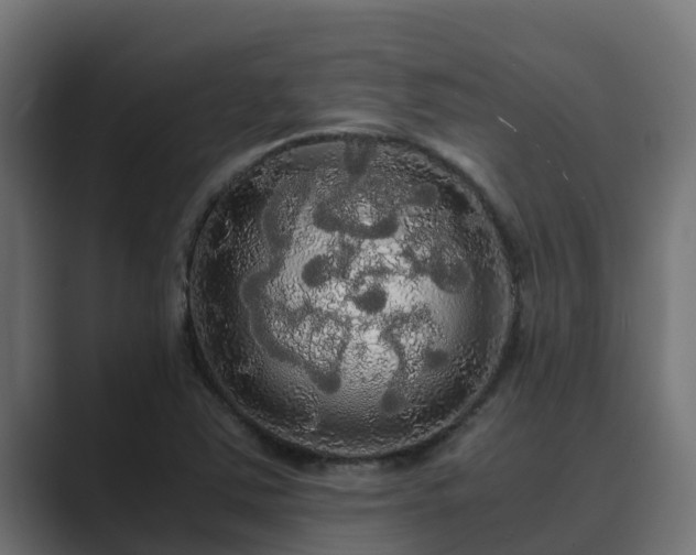 X0000089671363200706281332