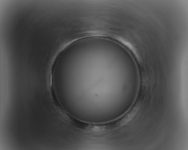 X0000089671365200706281332