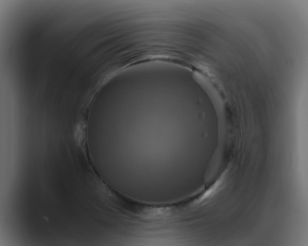 X0000089671369200706281332