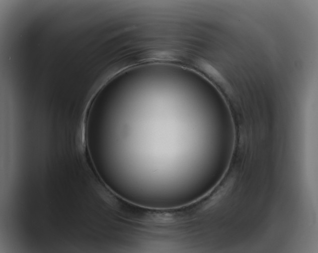 X0000089671370200706281332