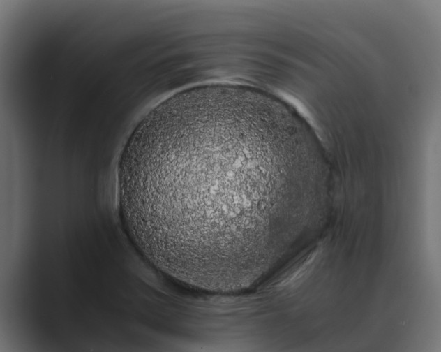 X0000089671371200706281332