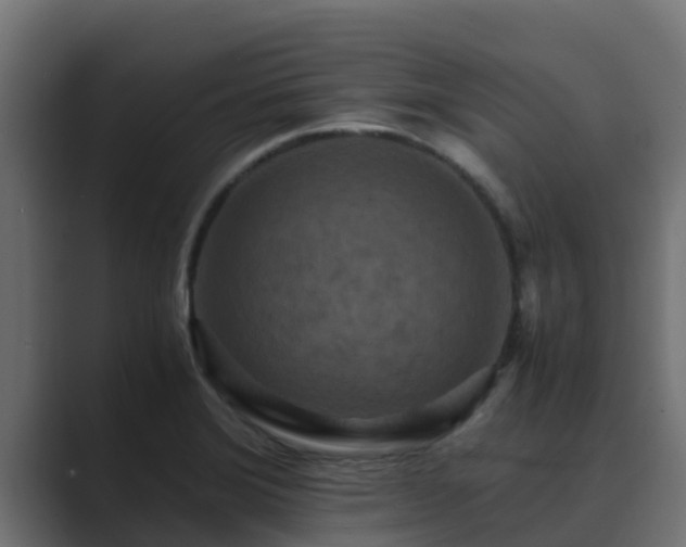 X0000089671372200706281332