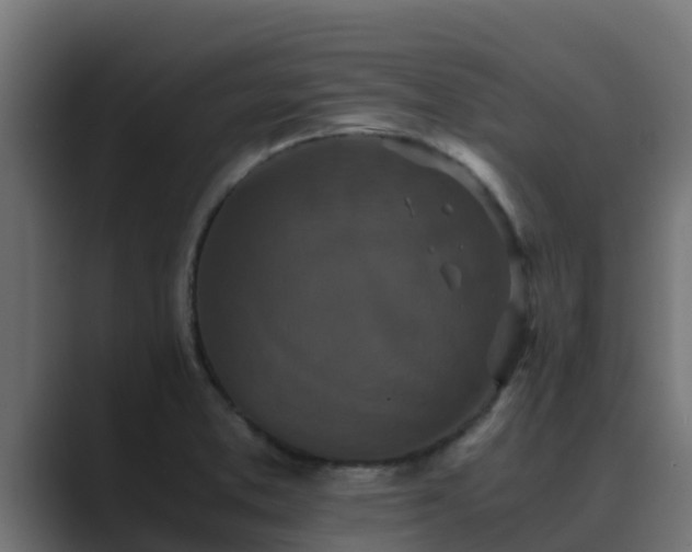 X0000089671373200706281331