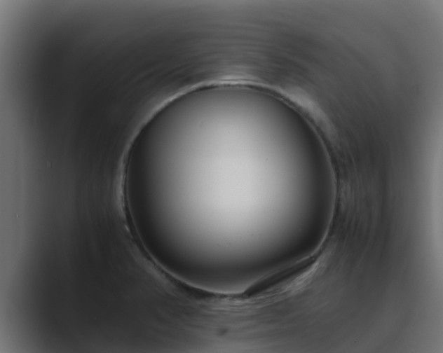 X0000089671374200706281331