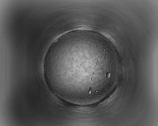 X0000089671375200706281331
