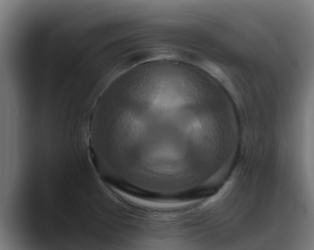 X0000089671377200706281331