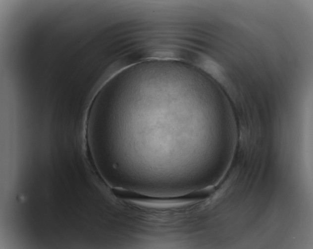 X0000089671378200706281331