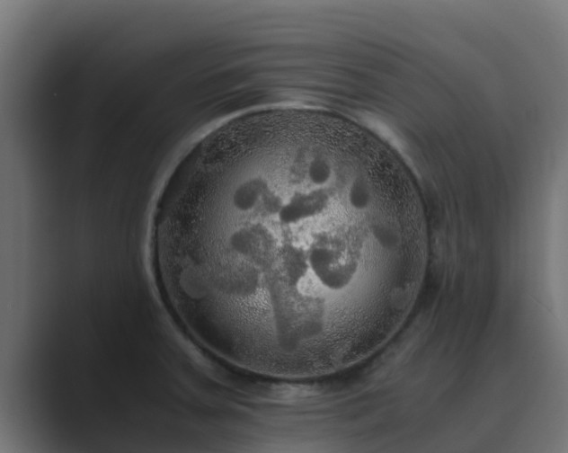 X0000089671379200706281331