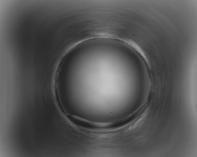 X0000089671381200706281331