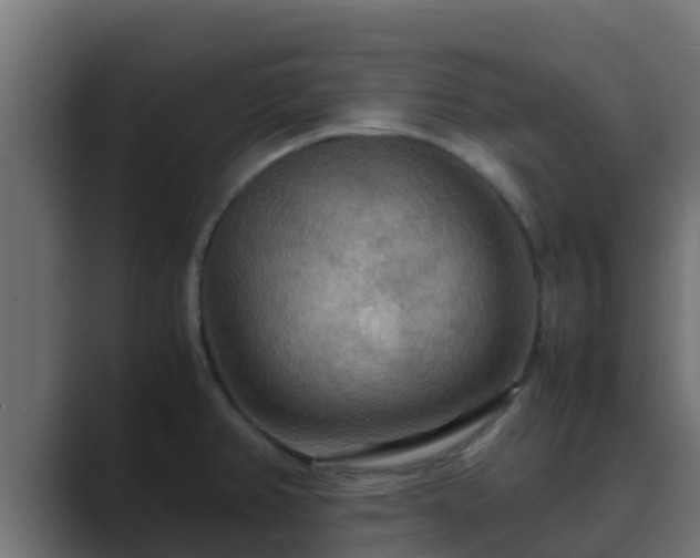 X0000089671382200706281331