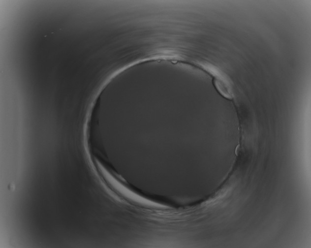 X0000089671383200706281331