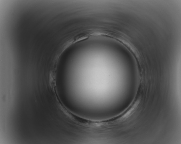 X0000089671385200706281331