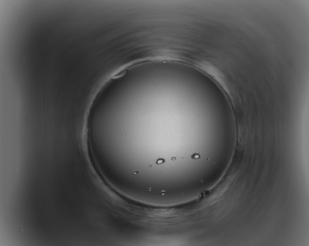 X0000089671387200706281331