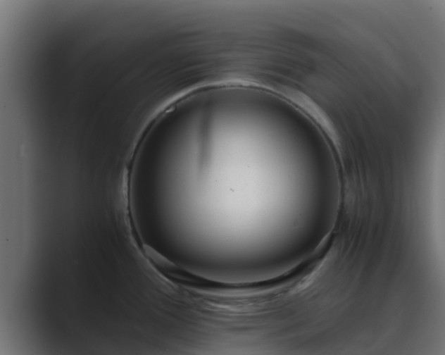 X0000089671388200706281331