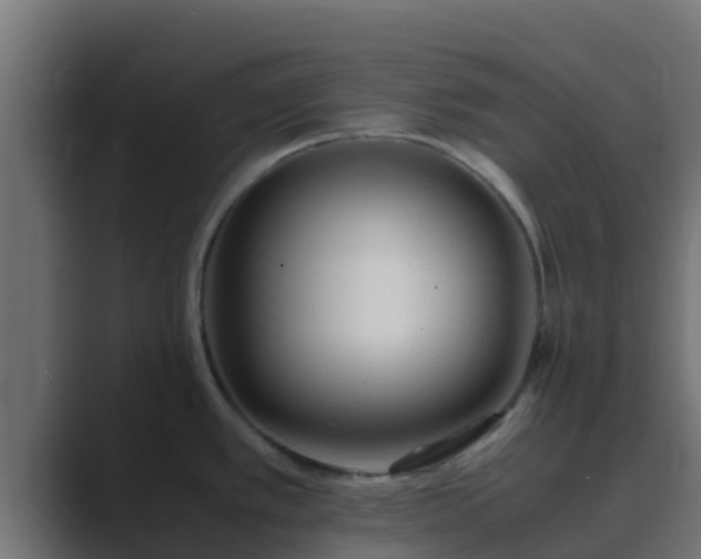 X0000089671389200706281331