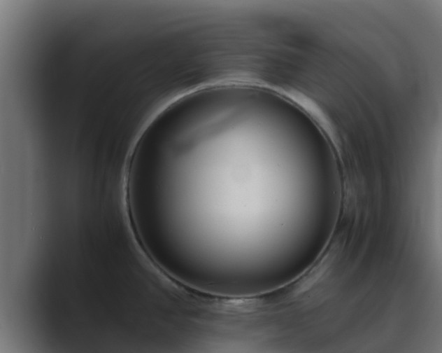 X0000089671390200706281331