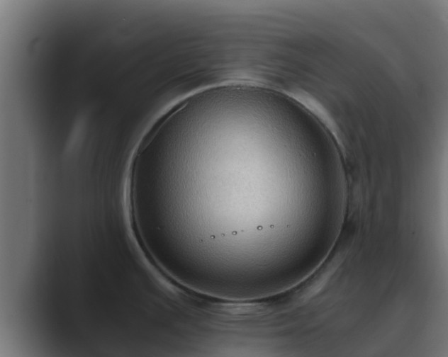 X0000089671391200706281331