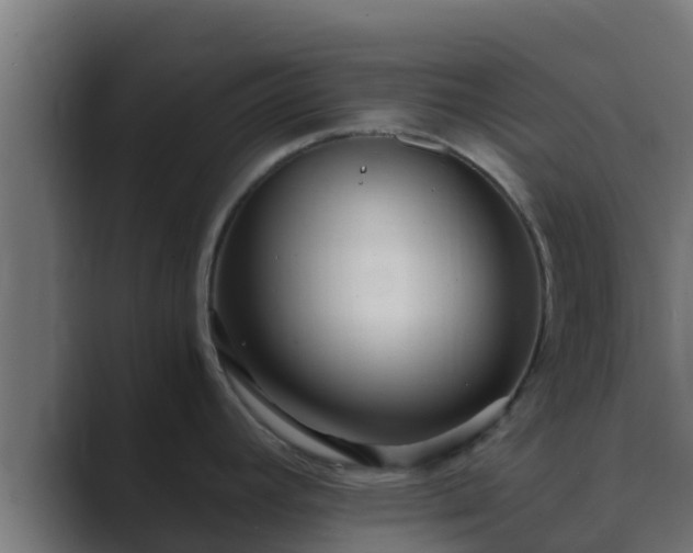X0000089671392200706281331