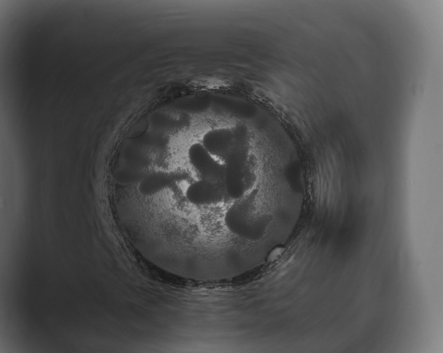 X0000089671393200706281331