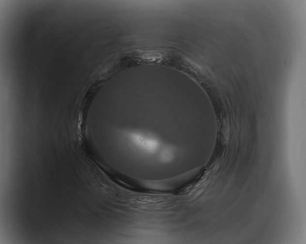 X0000089671394200706281331