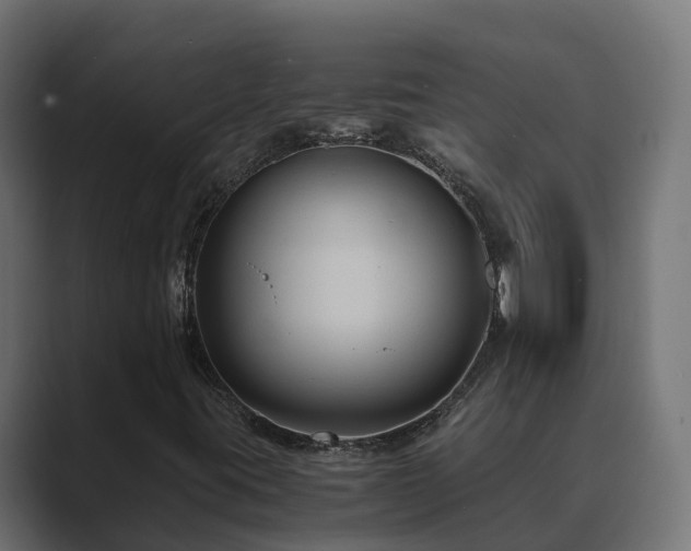 X0000089671395200706281331