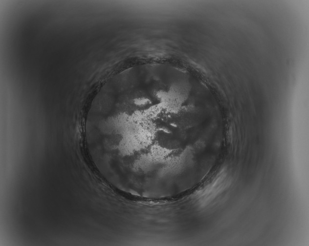 X0000089671397200706281331