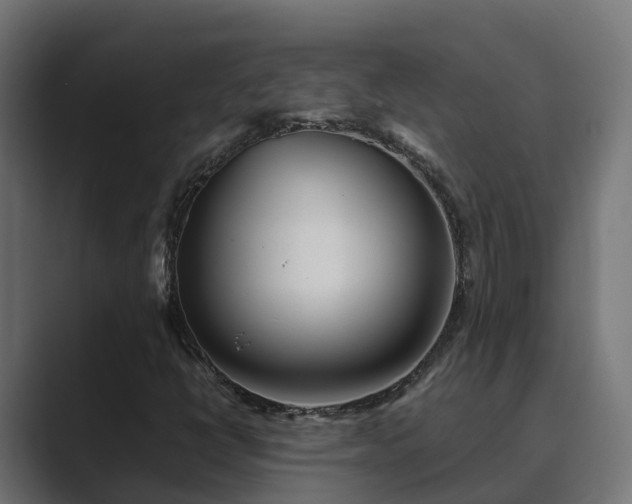 X0000089671398200706281331