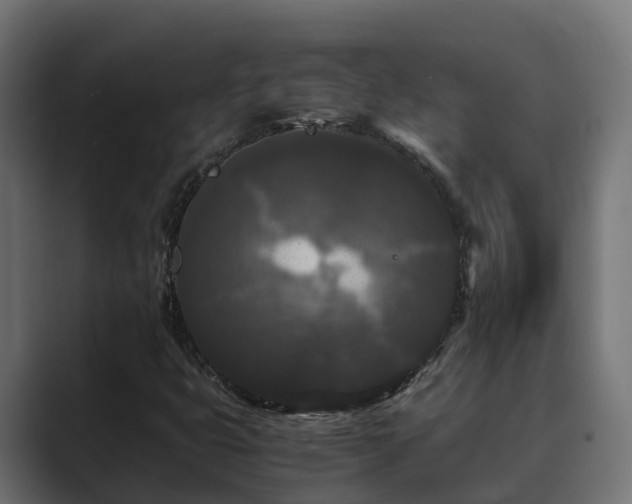 X0000089671399200706281331