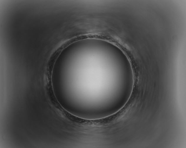X0000089671400200706281331