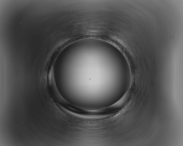 X0000089671402200706281331
