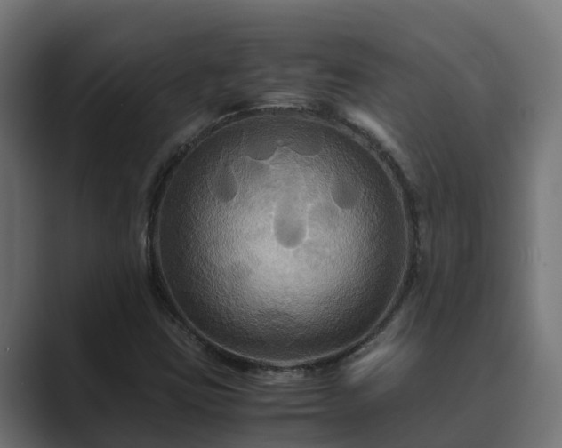 X0000089671403200706281331