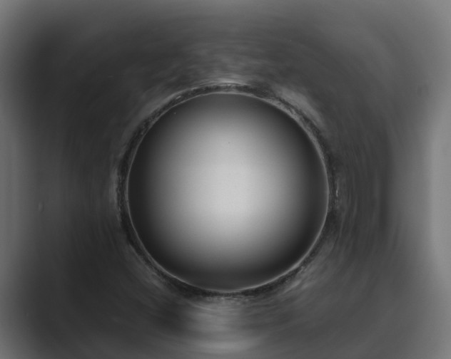 X0000089671404200706281331