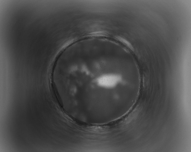 X0000089671405200706281331
