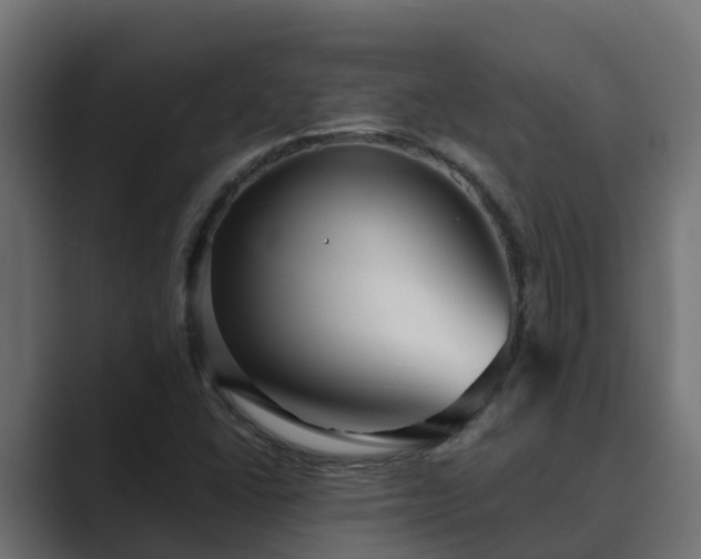 X0000089671406200706281331