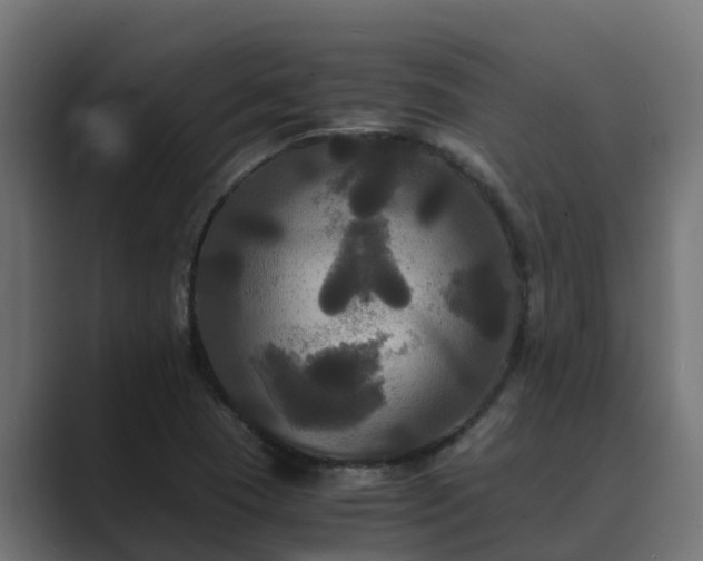 X0000089671409200706281331