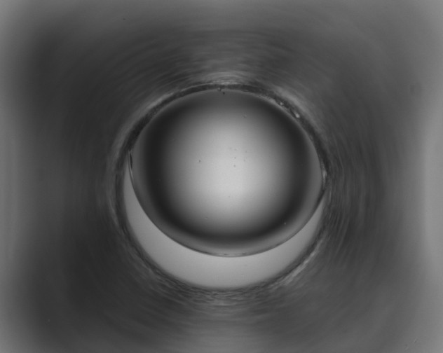 X0000089671410200706281331