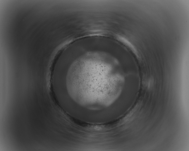 X0000089671411200706281331