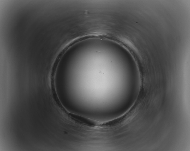 X0000089671412200706281331