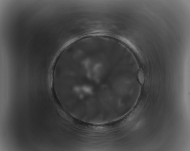 X0000089671413200706281331
