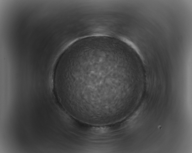 X0000089671415200706281331